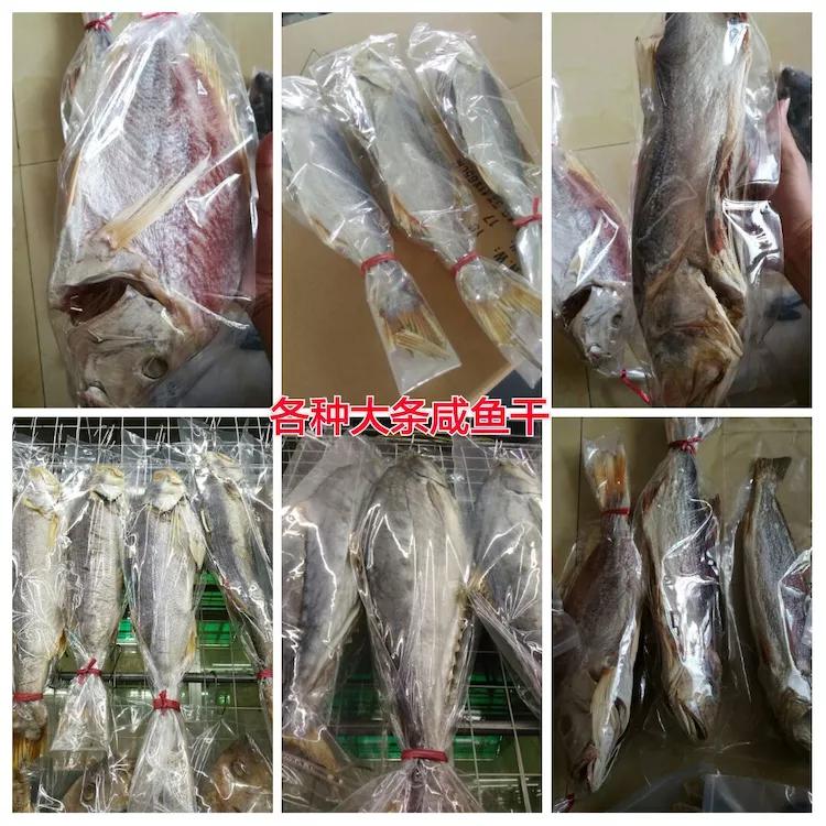 海陵岛闸坡渔港,海陵岛闸坡世界级渔港码头