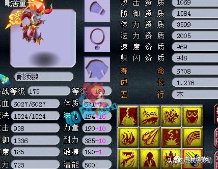 梦幻西游涛哥五开号展示,梦幻西游珍宝阁涛哥五开估价