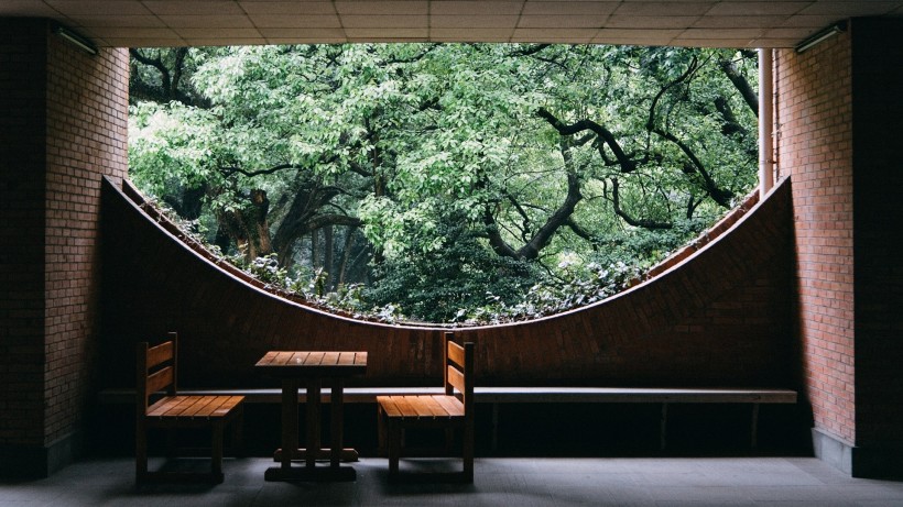 中国政法大学和人大的法学哪个好,中国政法大学与公安大学谁更好