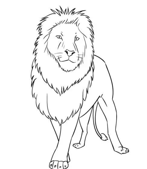 手绘画素材书,100张手绘素材图片