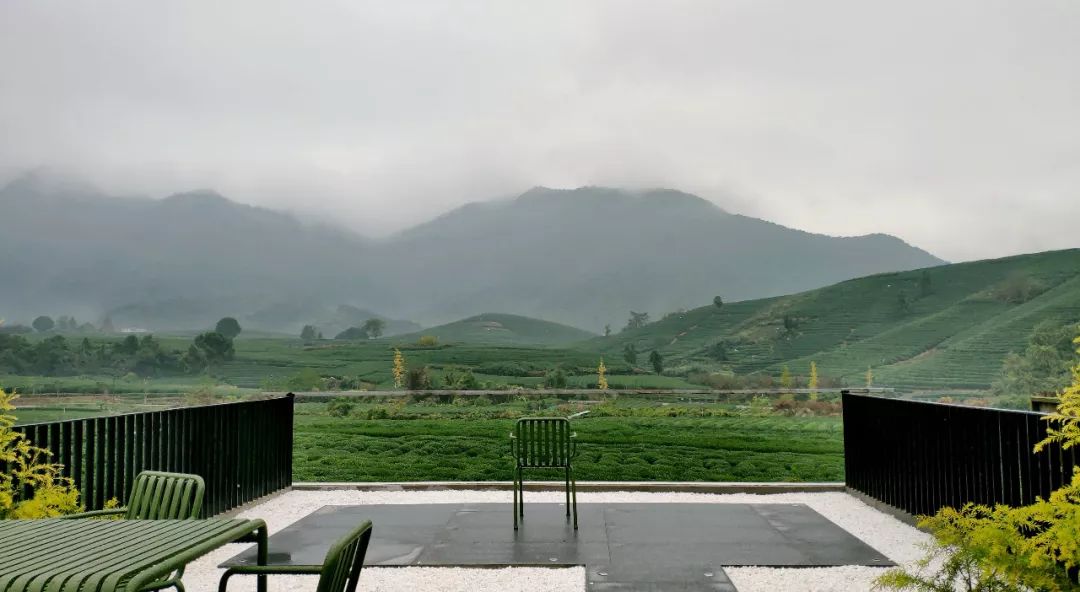 杭州原研斋茶园民宿,杭州茶园民宿推荐