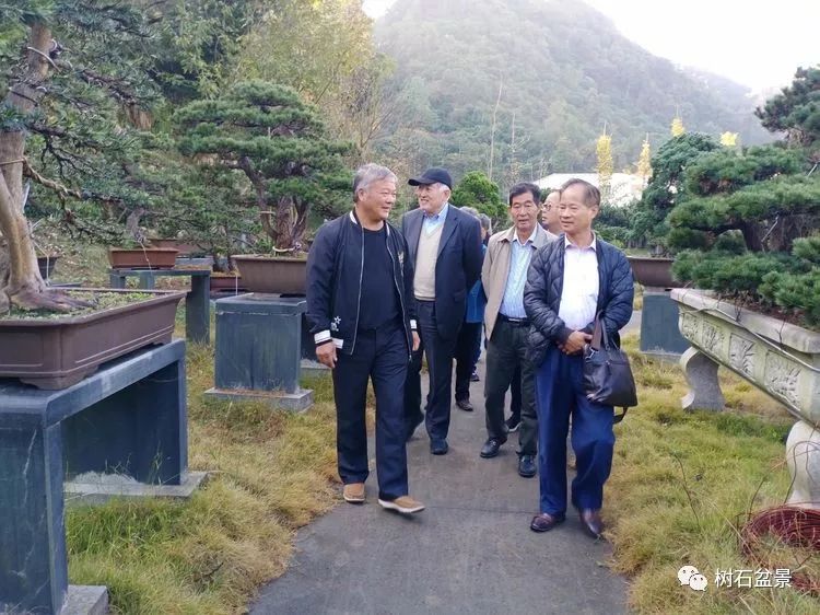 伟大使命复兴中国盆景艺术事业——2019中盆会大事回顾(下篇)