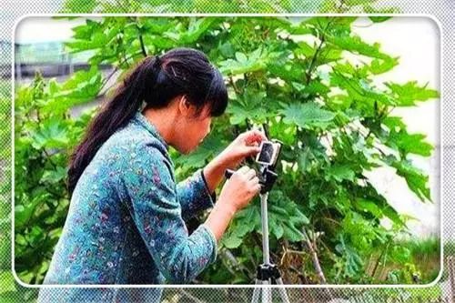 自主创业致富的门路,农村创业致富门路有哪些