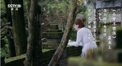 朗读者开场白和结束语合集,朗读者卷首语和开场白结束语