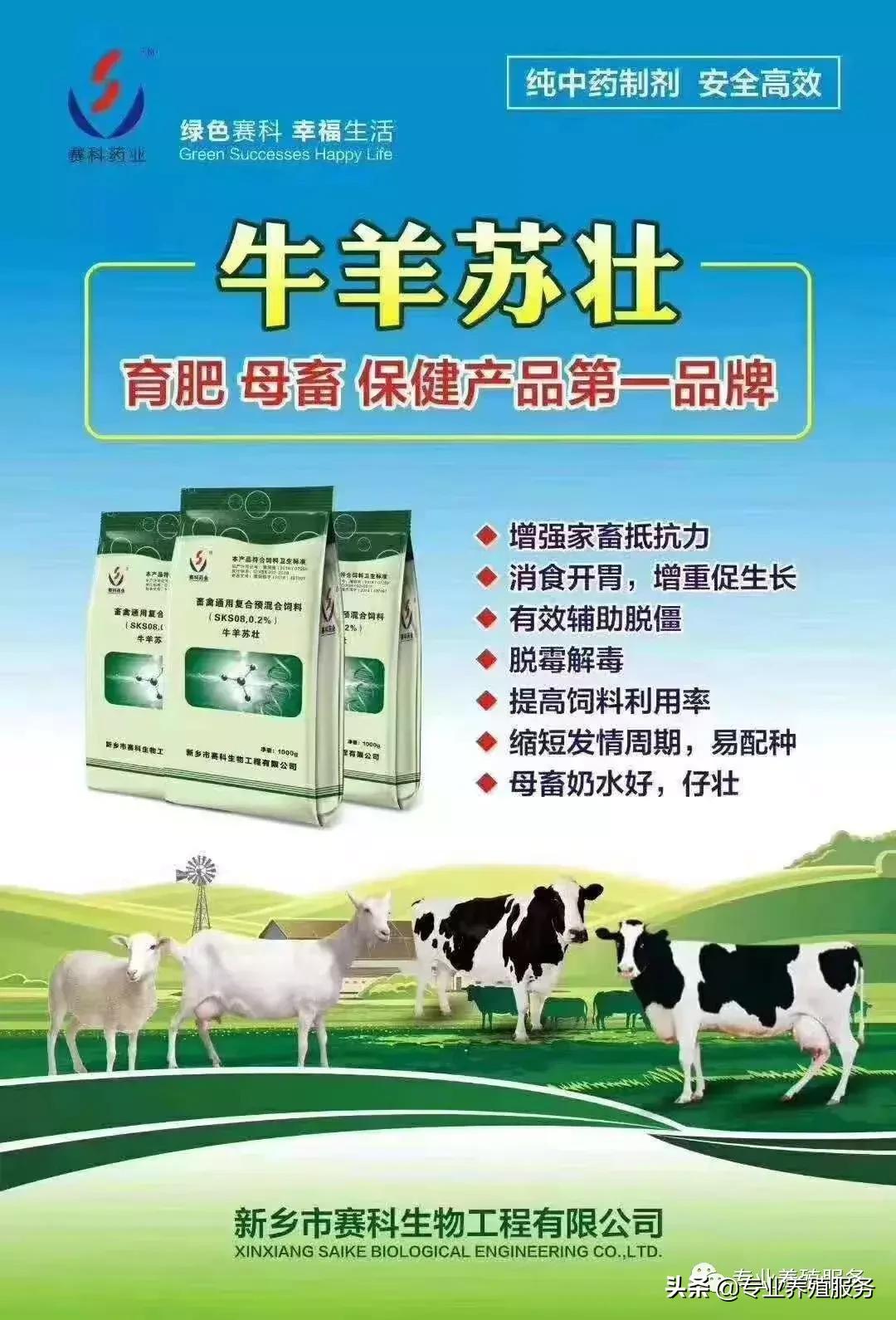 羔羊腿软站不起来与三种疾病有关,羔羊腿软站不起来怎么治疗