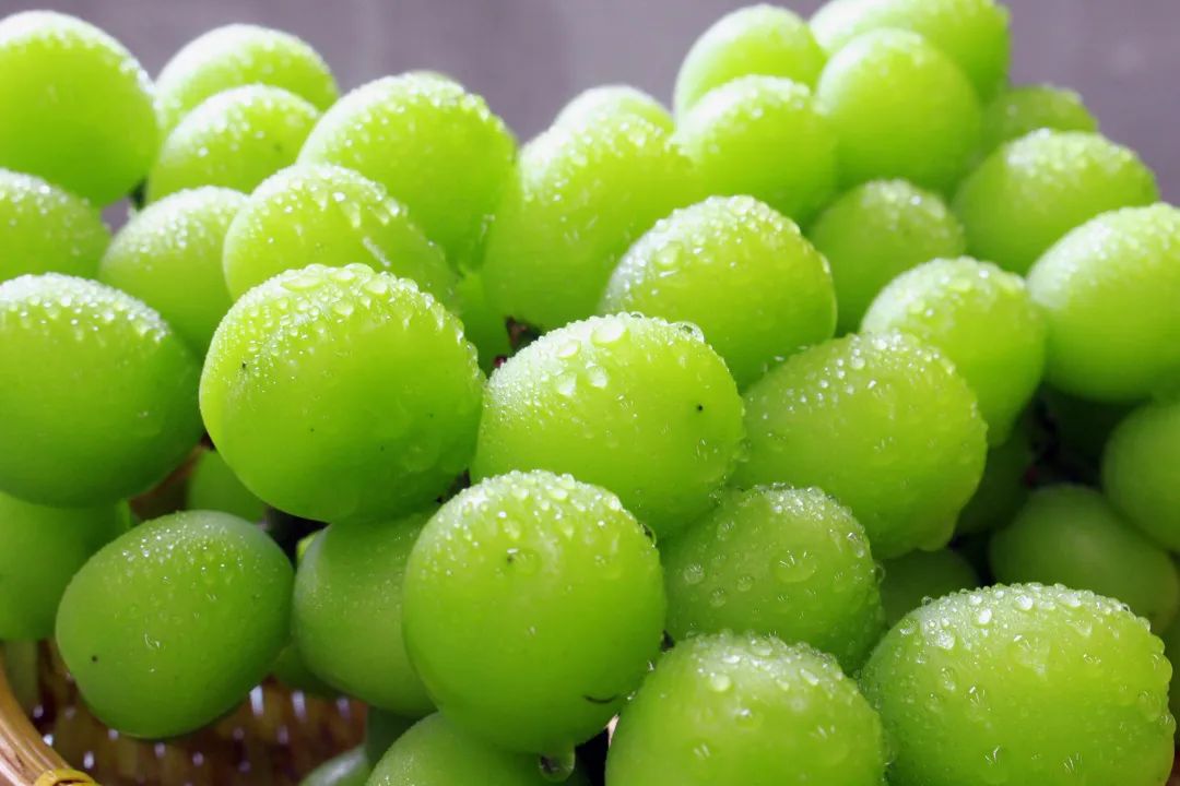 葡萄界的爱马仕晴王,葡萄界中的爱马仕跌落