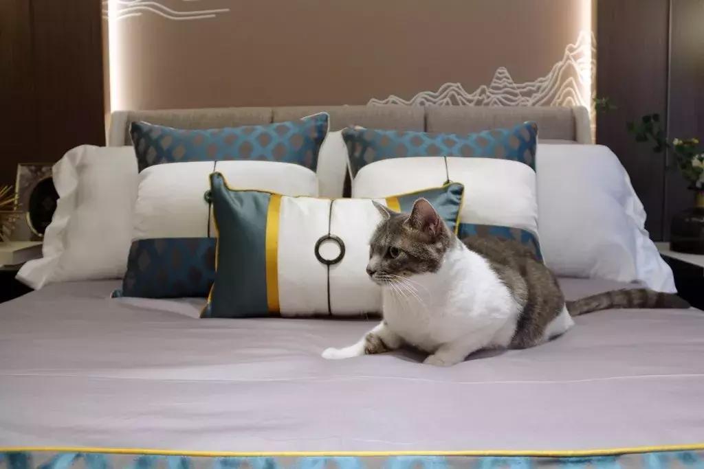 「胖虎大人看房记」第②期——宝龙世家