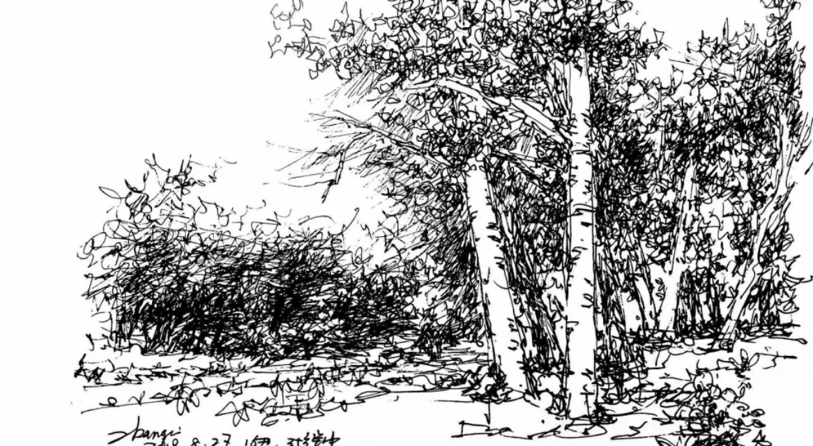 退休了想做什么工作,退休之后你想做什么