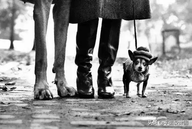 布列松超现实构图,布列松构图技巧视频