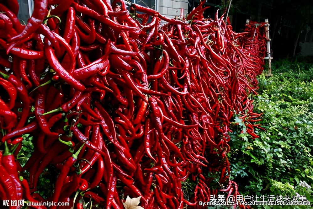 龙胜哪儿有好看的景区,广西的龙胜有什么好玩的