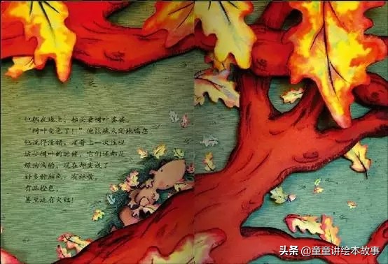落叶树的烦恼绘本,一片吹落的树叶绘本故事