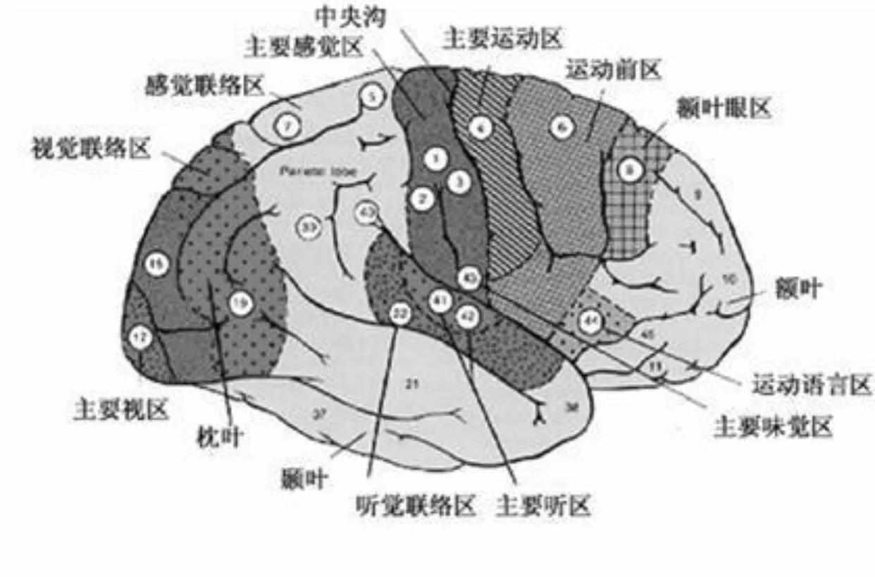 高考前一个月越考越差迷茫,高三注意力不集中不能动脑