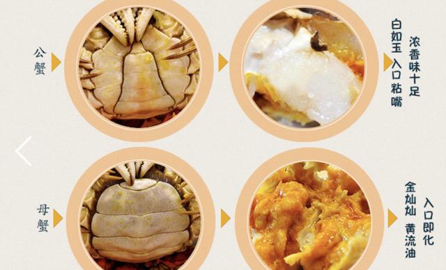 清蒸大闸蟹有什么妙招才好吃,清蒸大闸蟹的正确吃法和技巧