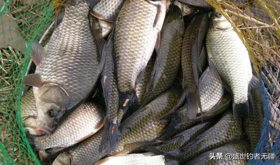 为什么钓鱼老是挂线,钓鱼为什么甩竿缠线