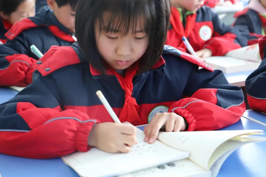 2018寒亭恒信明德学校,潍坊寒亭区恒信明德学校2019级