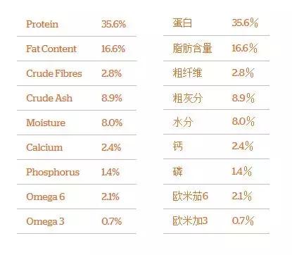 now和go区别,now和go猫粮哪个更好
