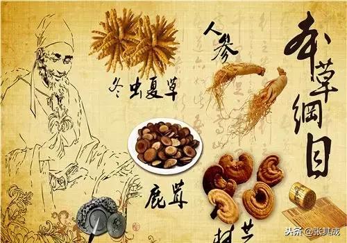 论中医养生文化,论中医药