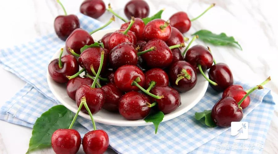 杨梅樱桃里面有虫子,樱桃杨梅有虫子