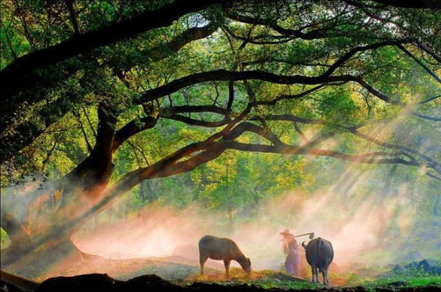 为故乡写魂,农民工为故乡招魂