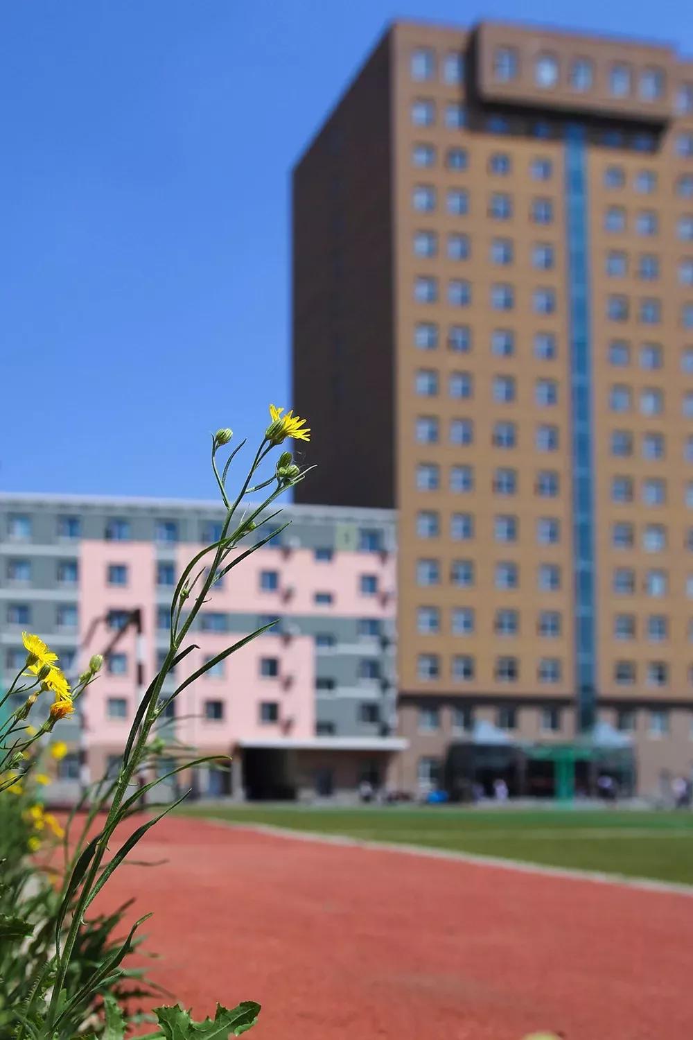 沈阳音乐学院院校代号,辽宁三所高校