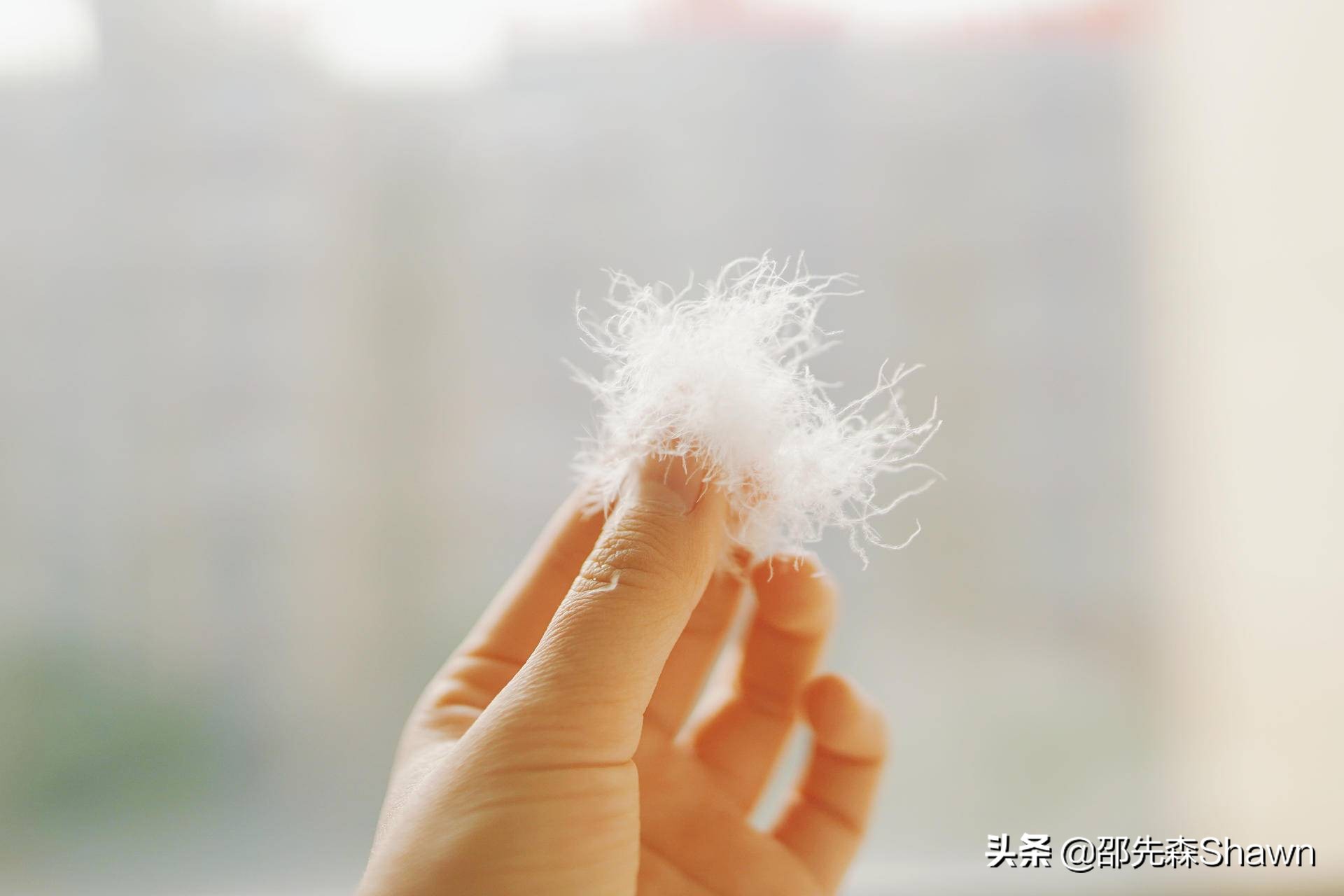 许你冬日温软如梦—网易严选95%白鹅绒被