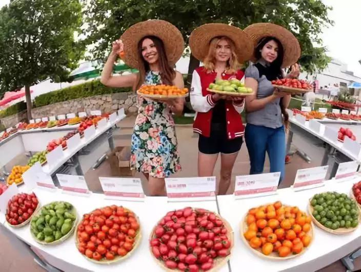 番茄如何赚钱,如何打造一个100亩盈利的农庄