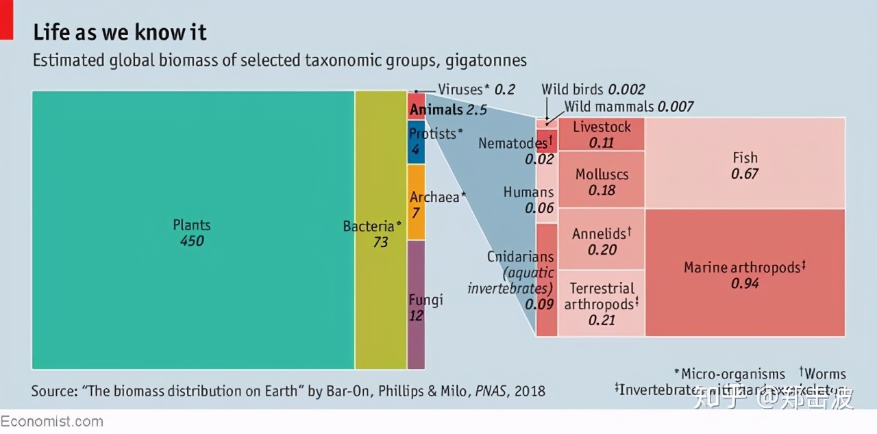 拿恐龙肉反驳石油生成理论，实在太民科了|科技袁人