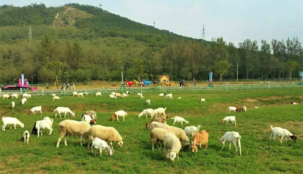 大连铭湖牧场一日游攻略,大连铭湖牧场观光图片