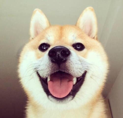 如何化解悲伤情绪英语,如何彻底化解内心悲伤的情绪