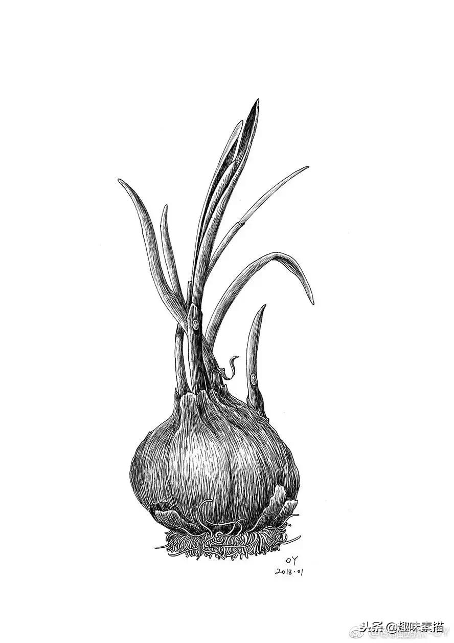 针管笔教程超适合初学者的笔,零基础针管笔教学