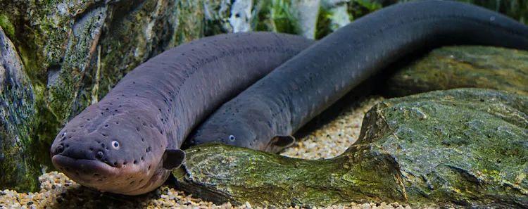 吴亦凡塌了？揭开他勾搭女孩的五套招数