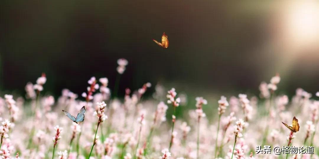 初三复习资料推荐全一册,超级好用的复习资料
