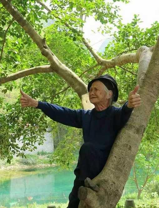 巴马长寿老人趣闻,巴马长寿老人最多的地方