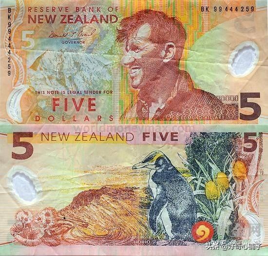全球值得收藏的纸币,世界各国前五大超有趣纸币