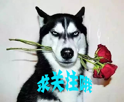 本泽马全能前锋集锦,球星沙雕外号