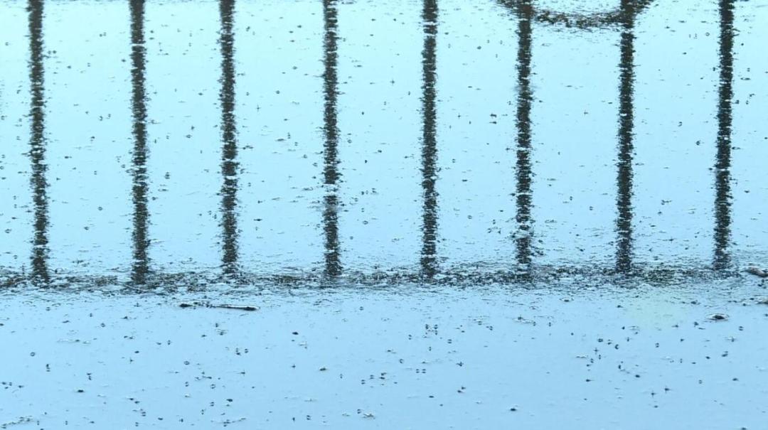 【沿着高速看西昌】高草村：农牧结合循环利用发展绿色生态养殖