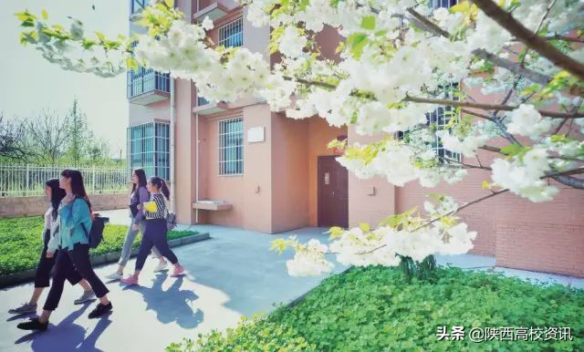 西安科技大学高新学院获评“2019年陕西省十佳网络口碑本科高校”