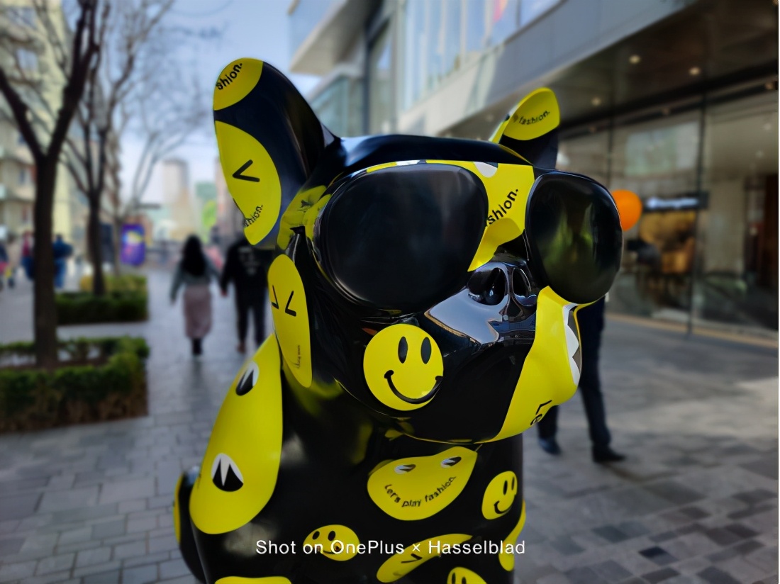 顶级相机哈苏和蔡司,蔡司和徕卡还有哈苏哪个更厉害