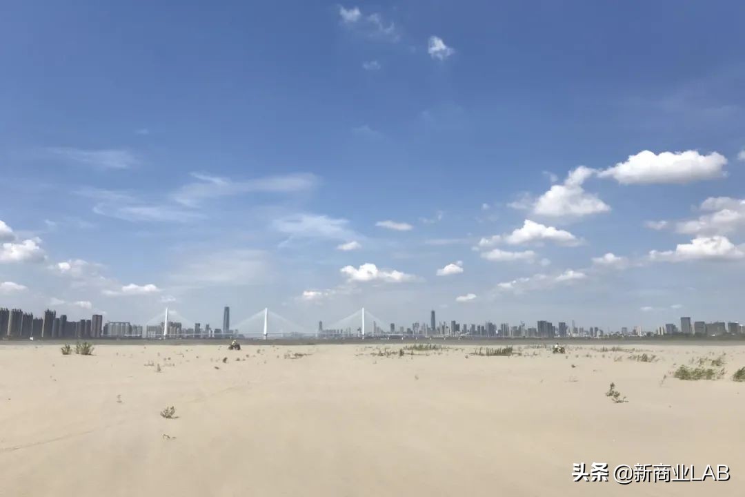 姝︽眽涓轰粈涔堣绉颁负閰掑簵鑽掓紶,姝︽眽閰掑簵鑽掓紶