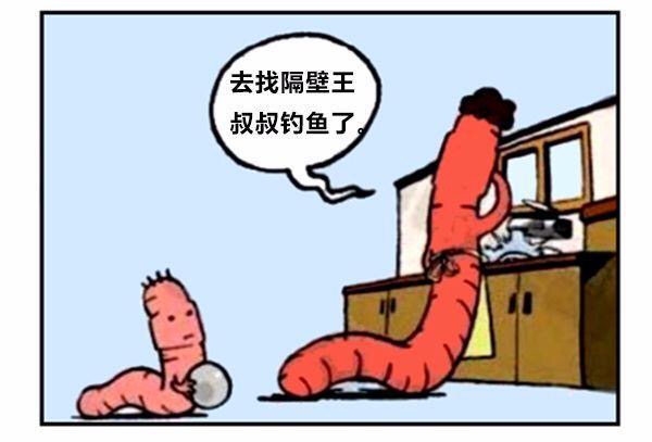 漫画蚯蚓历险记,蚯蚓漫画