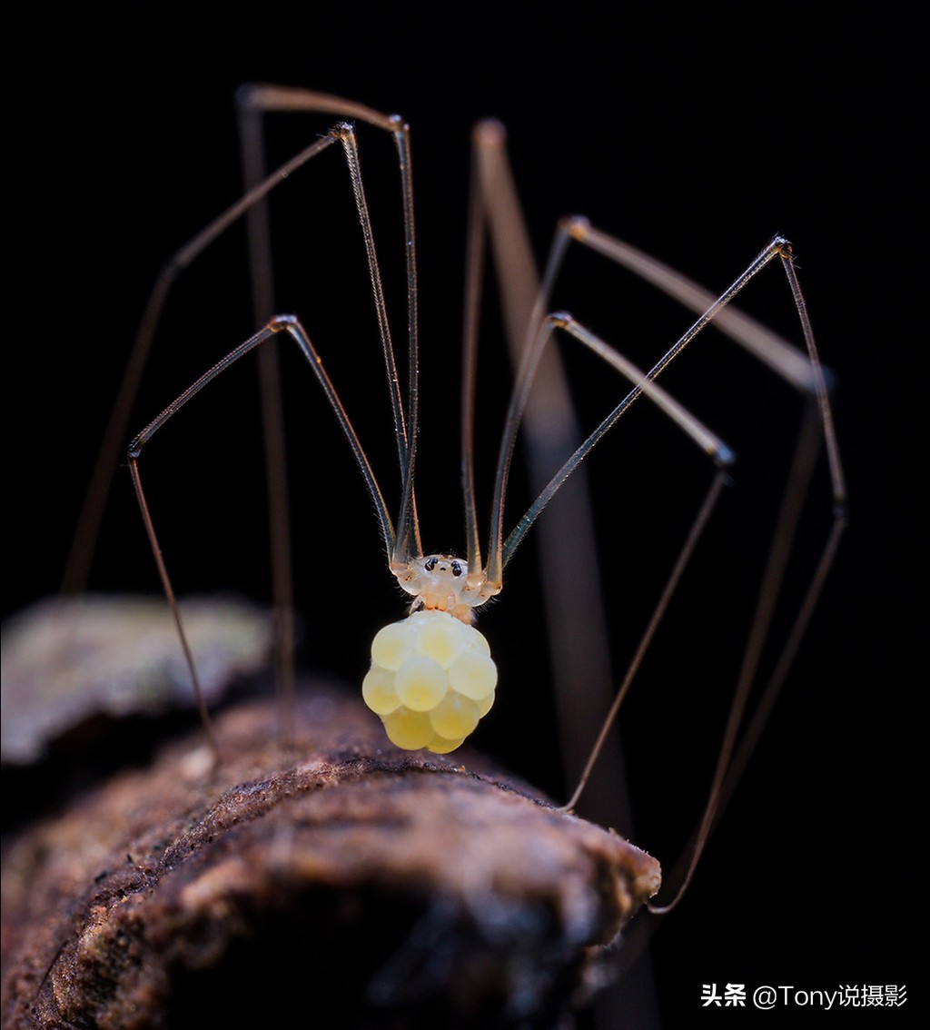 系统学摄影,摄影对焦入门教程
