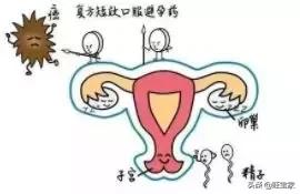 吃避孕药对女性有益,避孕药对身体有益是谣言吗