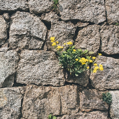 十二生肖最不能接受的星座,十二星座中最坏的生肖