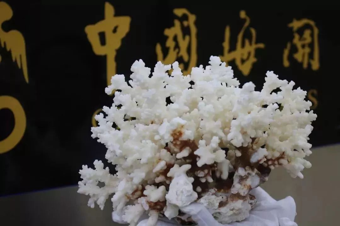 去香港要小心什么,去香港要注意哪些东西