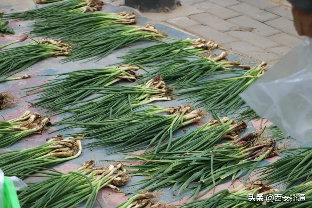 在西安，你一定要逛一次万寿路的早市