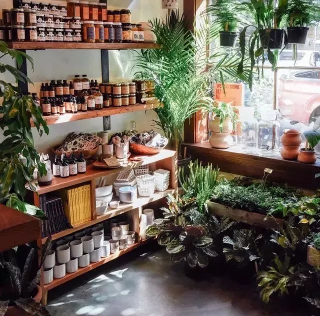开一家植物美学小店,开一家属于自己的花店