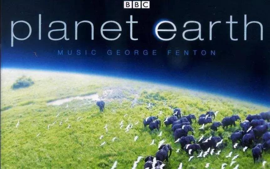 如何提高孩子英语学习兴趣？我们问上百个老师，得到了这些答案