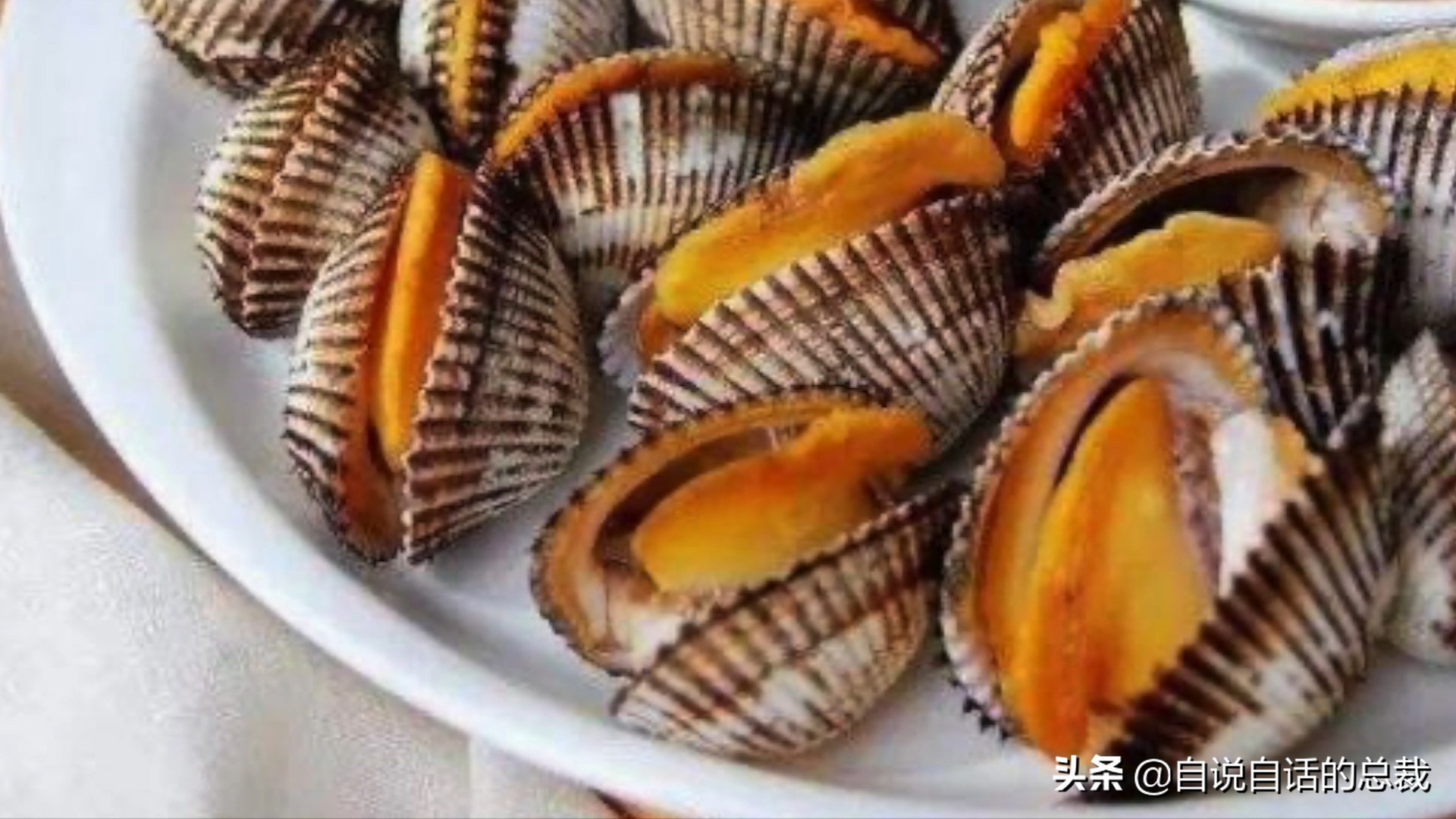 蛤、蚶、蛏、蚝、蚬有什么区别？这是一群美味海怪与人类的故事