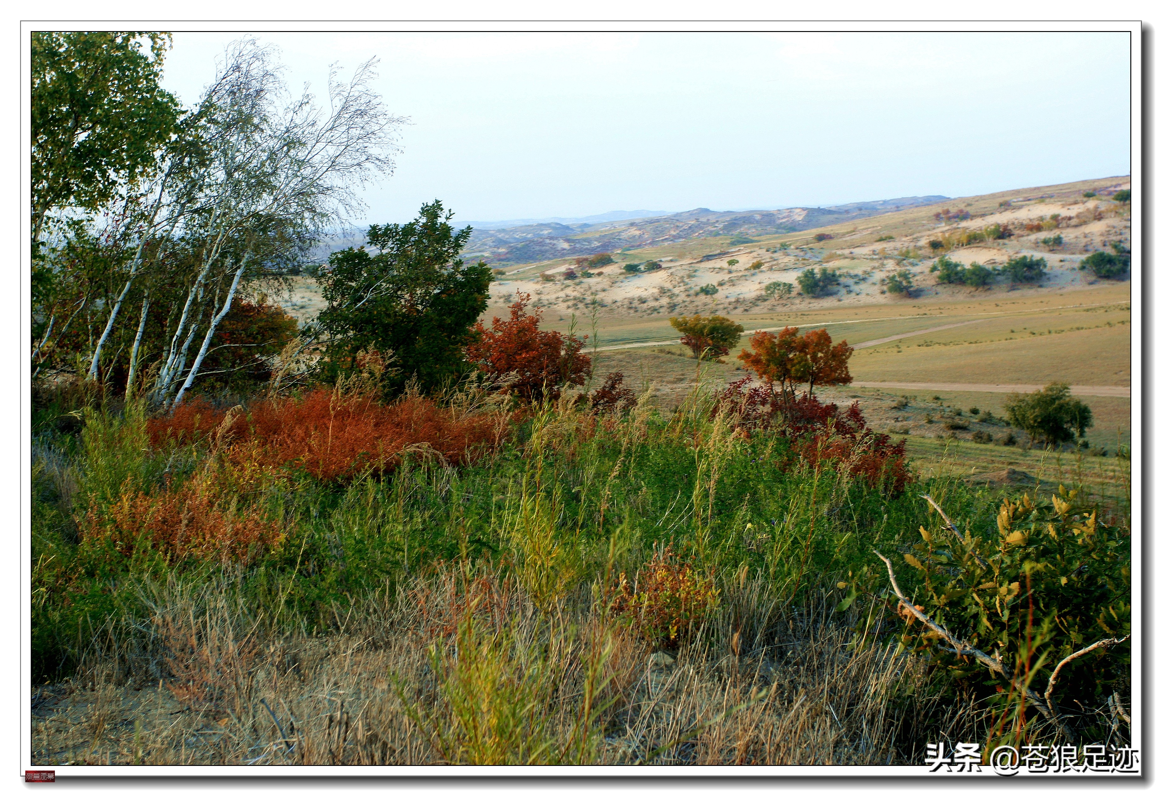 野阔牛羊同雁鹜——雄浑壮阔的贡格尔草原