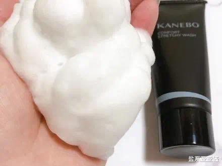 coser必备护肤好物盘点,日本cosme大赏美容仪